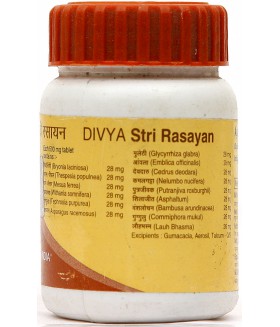 Стри Расаян Вати/Stri Rasayan Vati Препарат для лечения всех типов нарушений менструального цикла у женщин